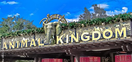 Disney's Animal Kingdom Theme Park Itinerary User Guide