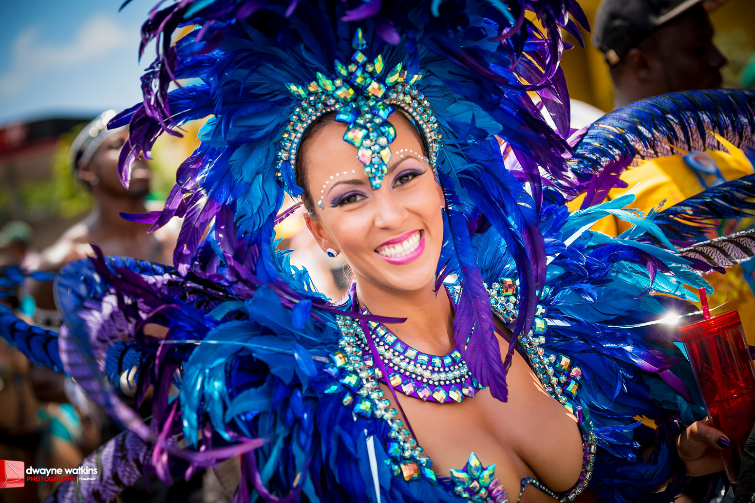 Jamaica Carnival Travel User Guide