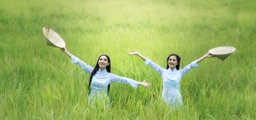 Vietnam Digital Nomad Visa User Guide