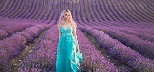 5 Places to Find Lavender Fields