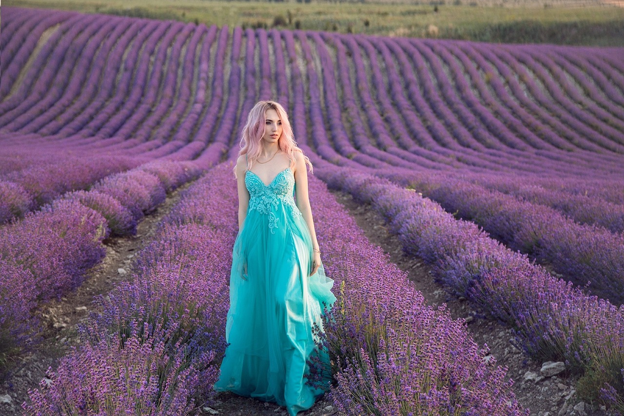 5 Places to Find Lavender Fields