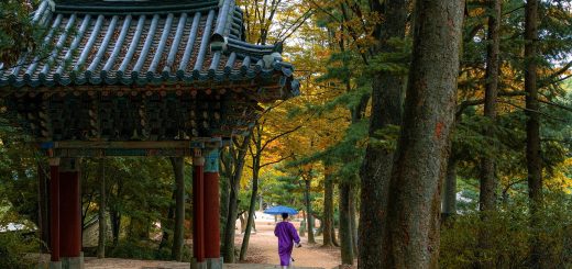 Seoul Itinerary Travel User Guide