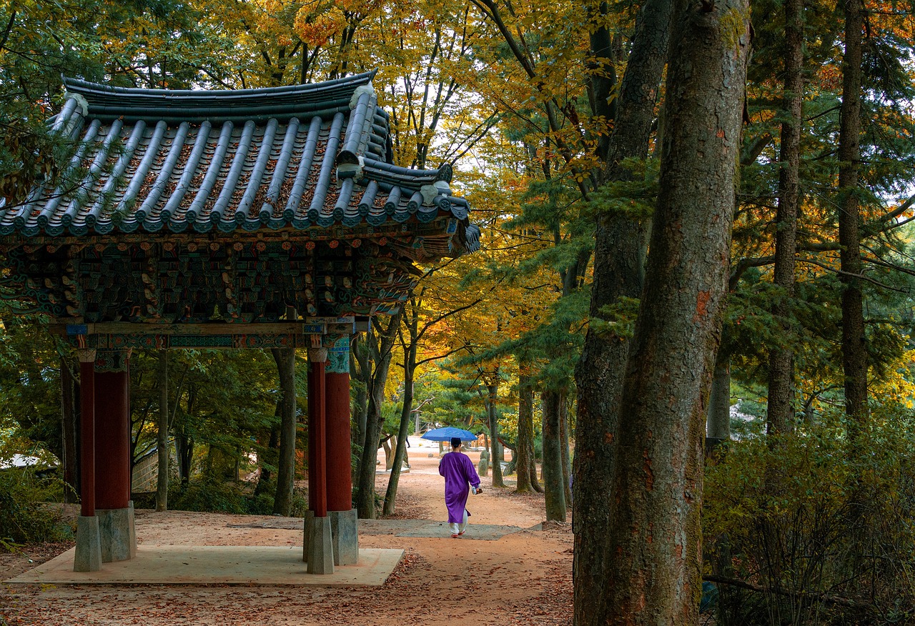 Seoul Itinerary Travel User Guide