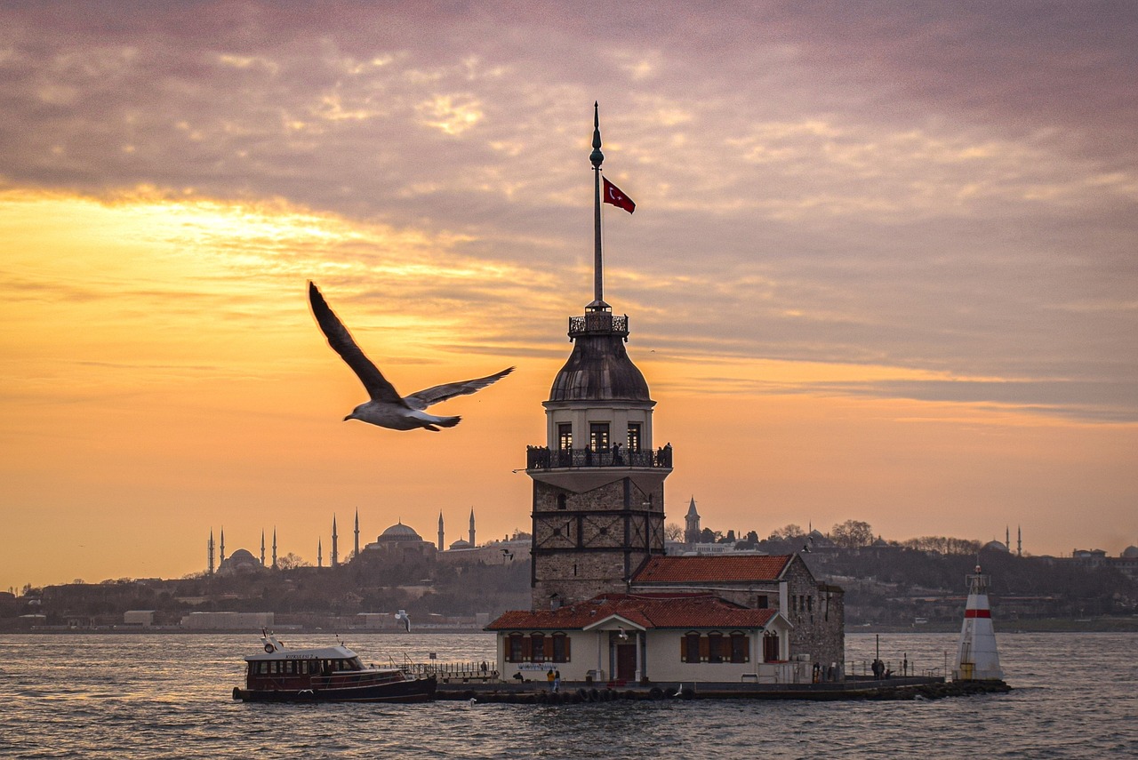 Turkey Digital Nomad Visa User Guide