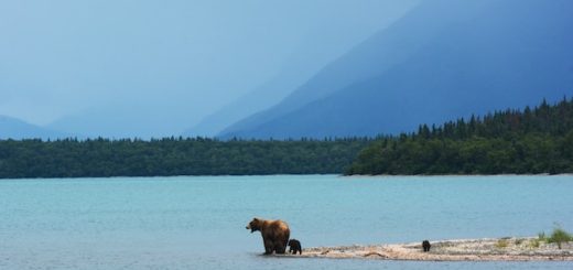 Alaska 7 Day Itinerary Travel User Guide