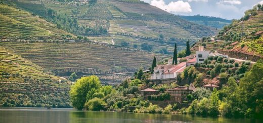 What are the best wine tastings in Portugal?