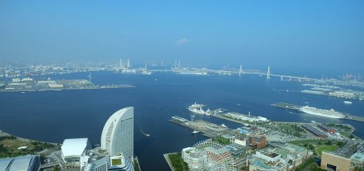 What to Eat in Yokohama, Food and Drink, Dishes