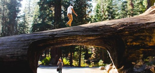 20 EPIC Things to Do in Sequoia National Park