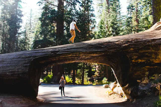 20 EPIC Things to Do in Sequoia National Park