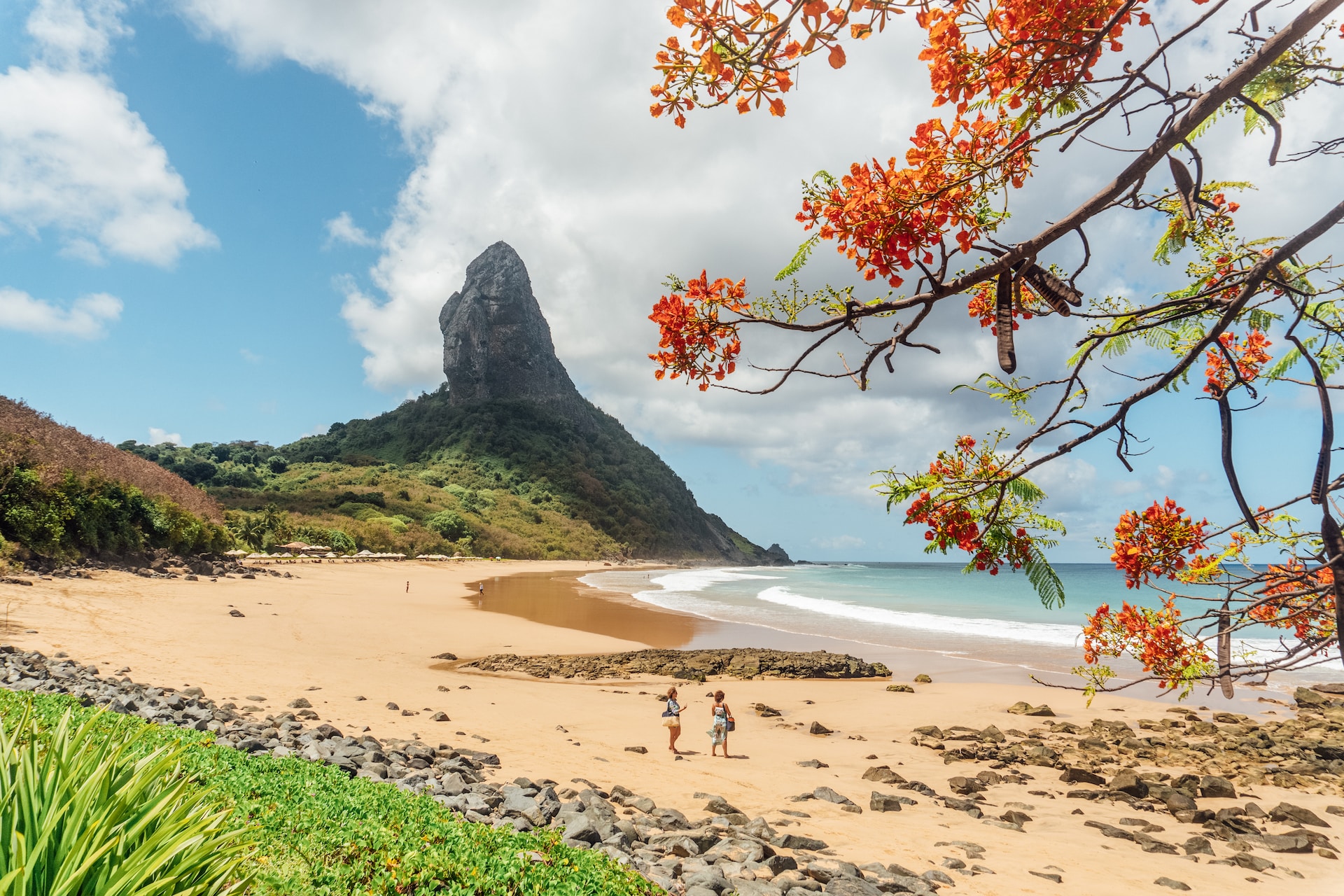 Fernando de Noronha Travel Guide