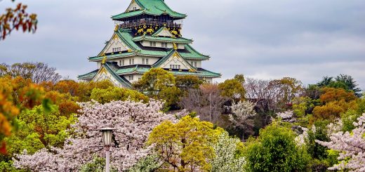 Where to Eat, Stay, and Explore in Osaka