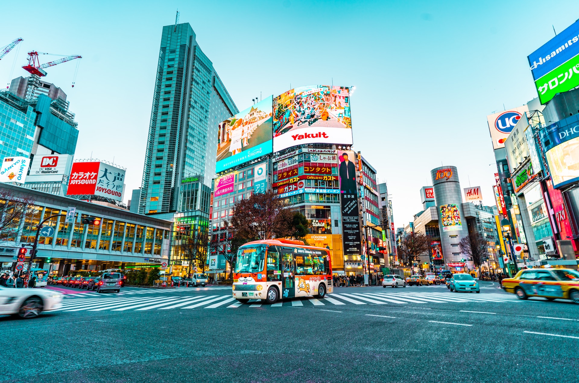 The 20 Best Things to Do in Shibuya