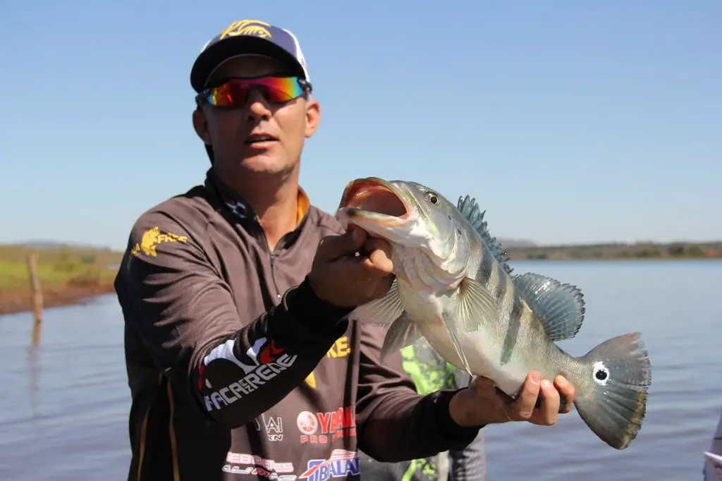Where is the best bass fishing in the world?
