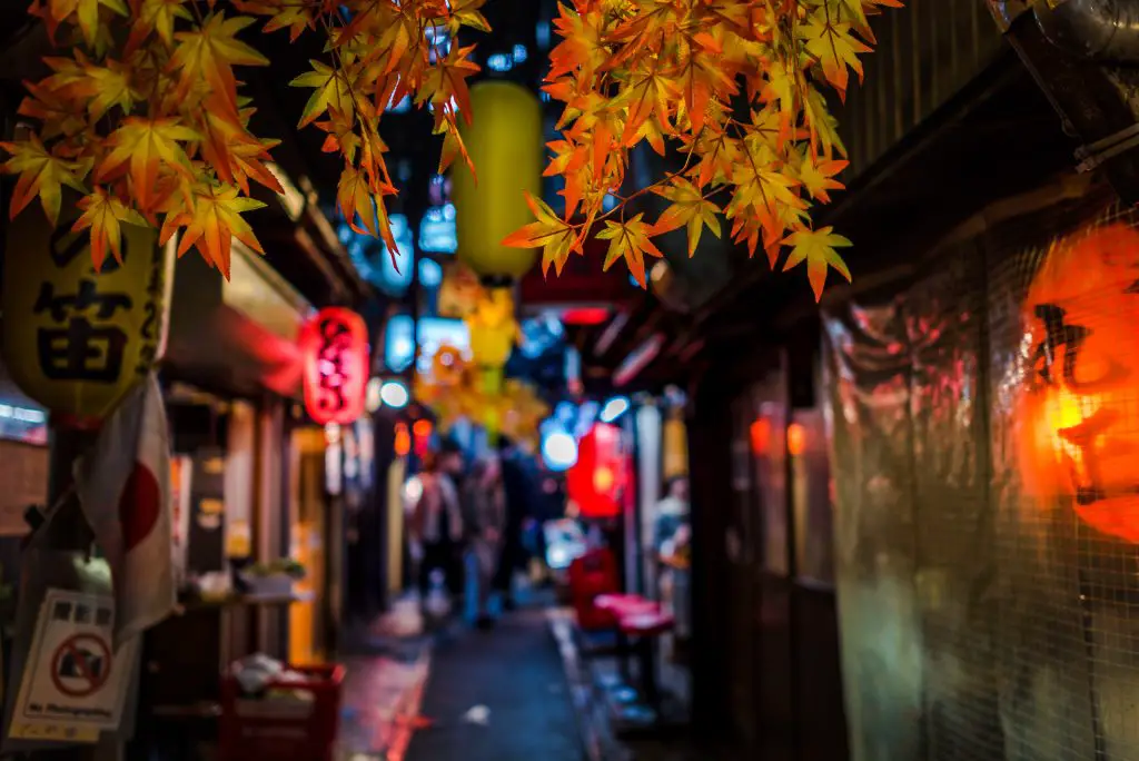 Omoide Yokocho Autumn iStock 897893036 aon168