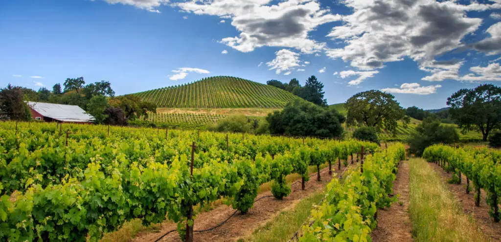 wineries in healdsburg california