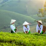 Which is the best month to visit Vietnam?